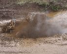 Mud 2007 081_.jpg